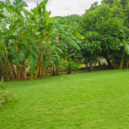 Hotel Fontana Managua Kültér fotó