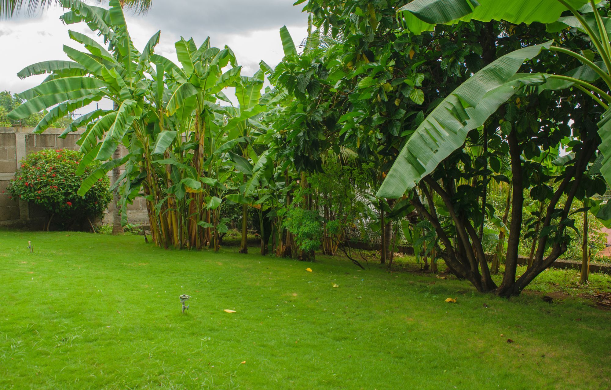 Hotel Fontana Managua Kültér fotó